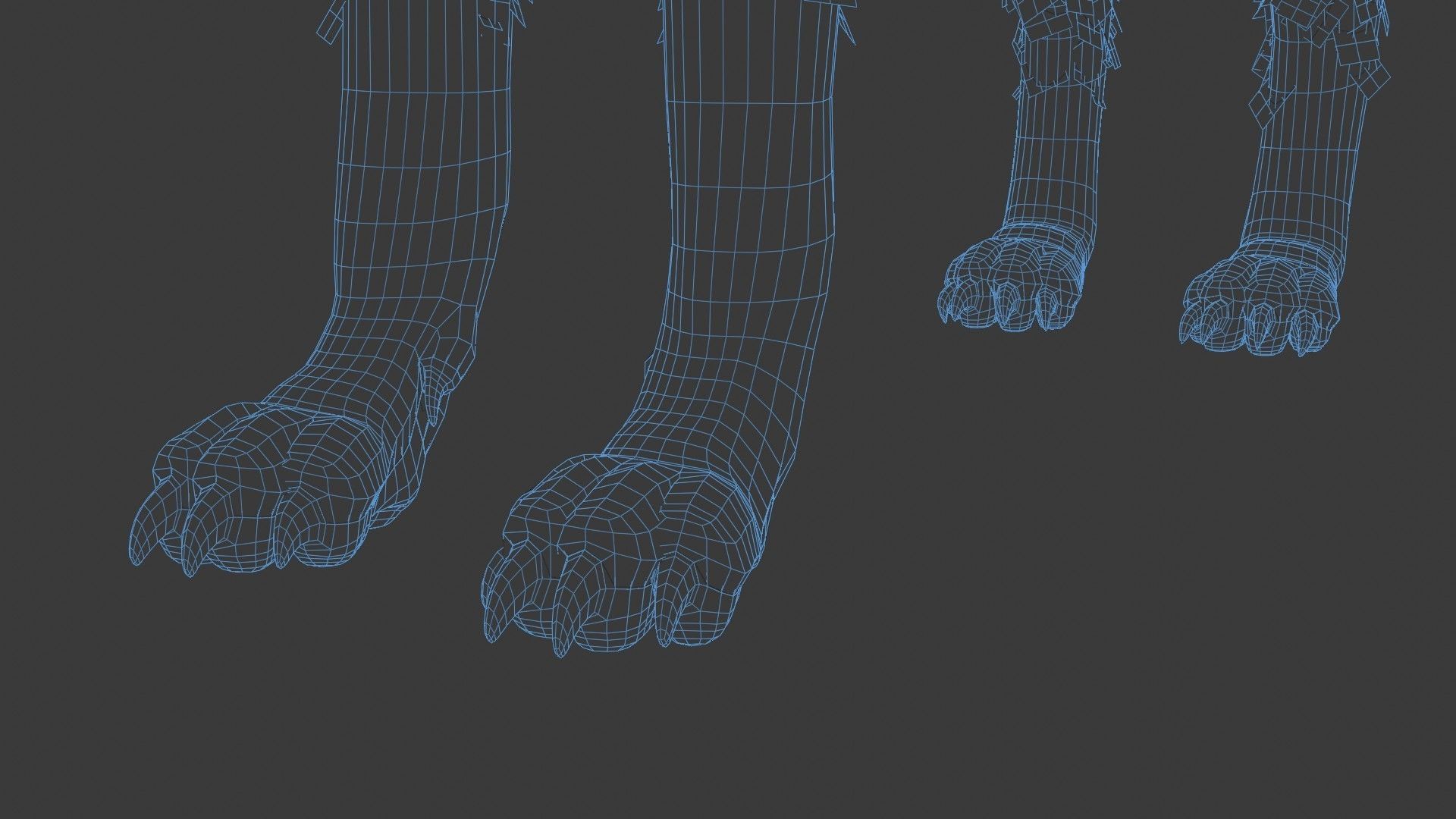 Wolf Rigged 3D model_21