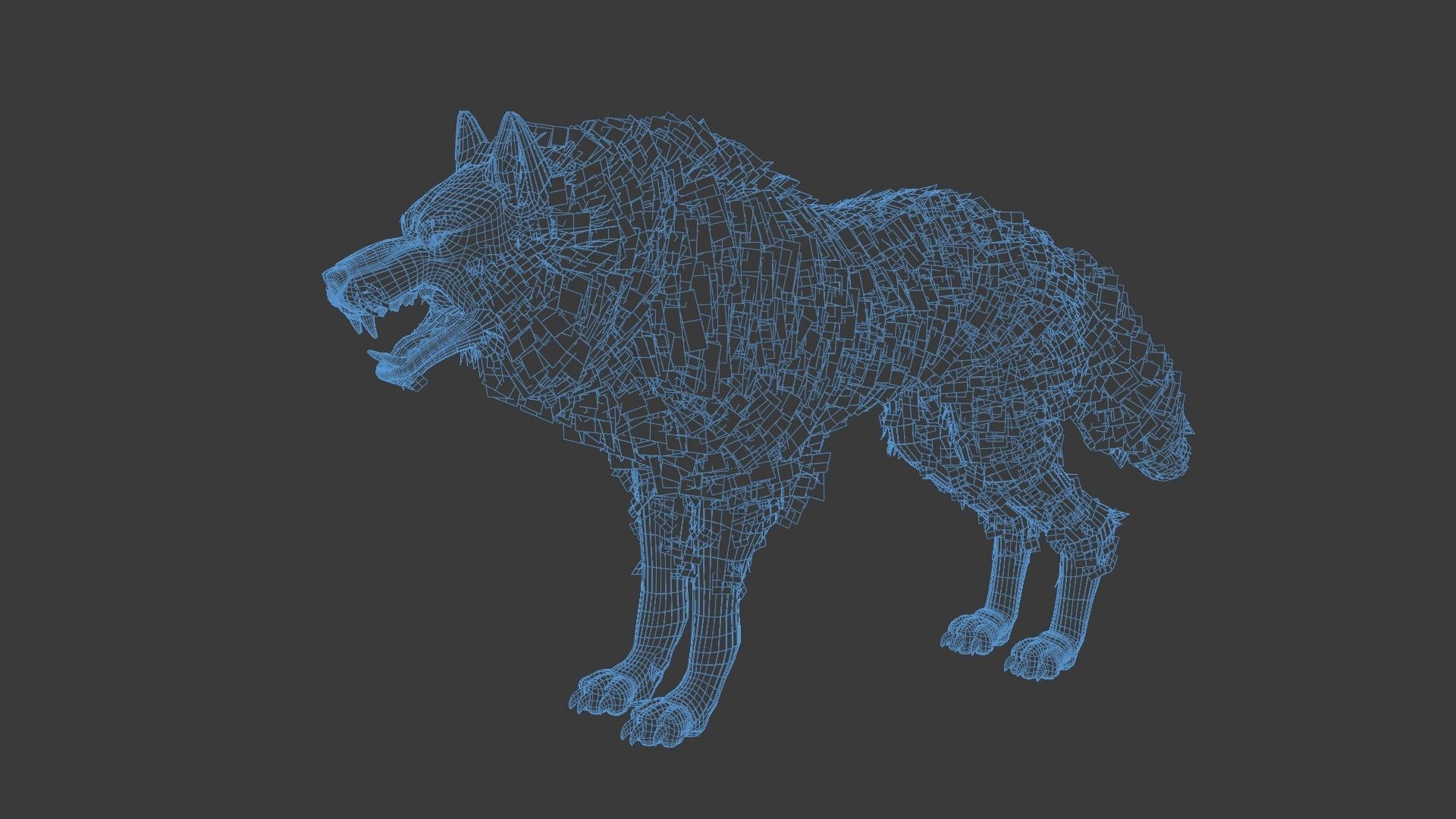 Wolf Rigged 3D model_19