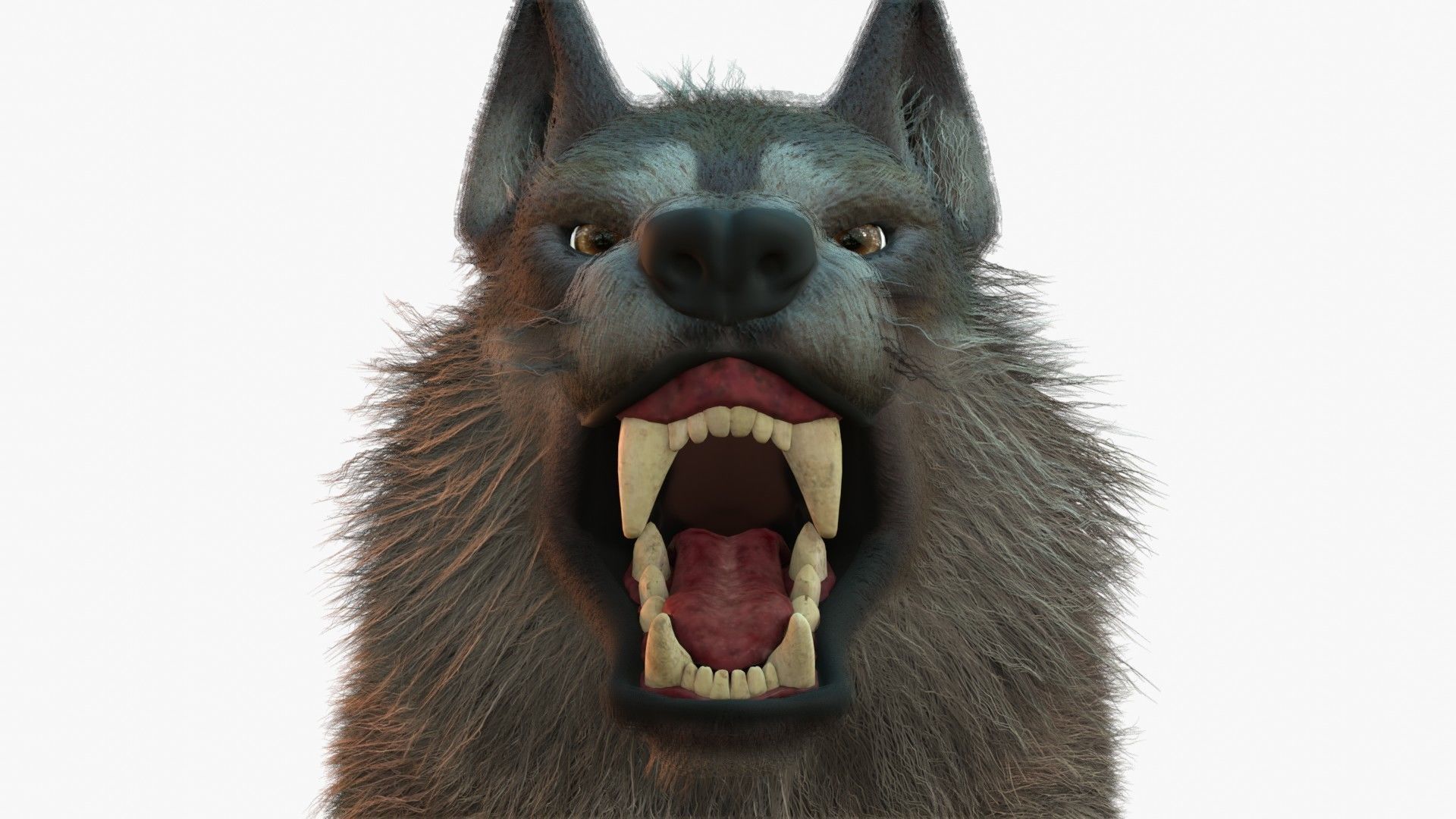 Wolf Rigged 3D model_11