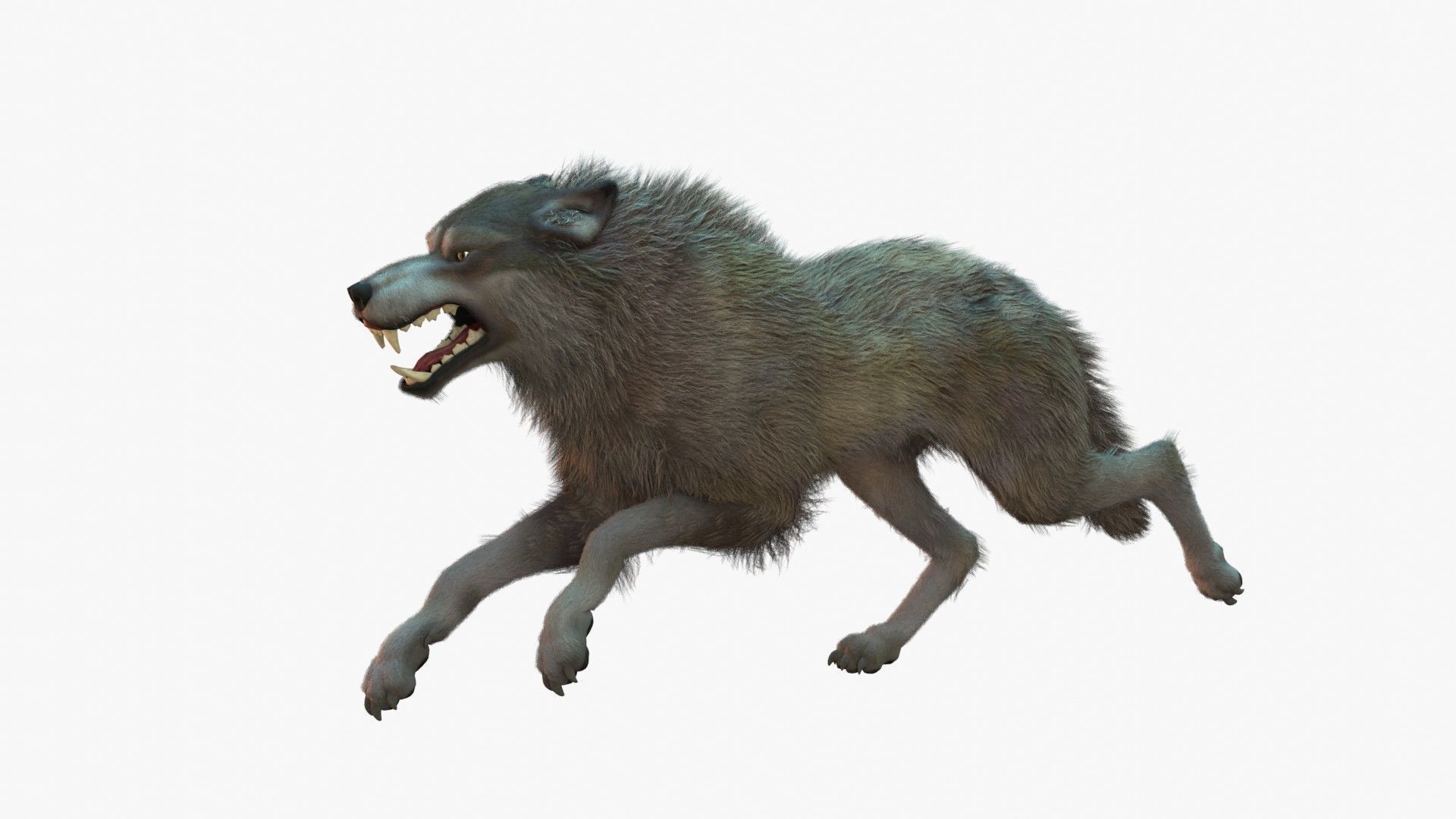 Wolf Rigged 3D model_24