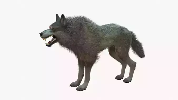 Wolf Rigged 3D model