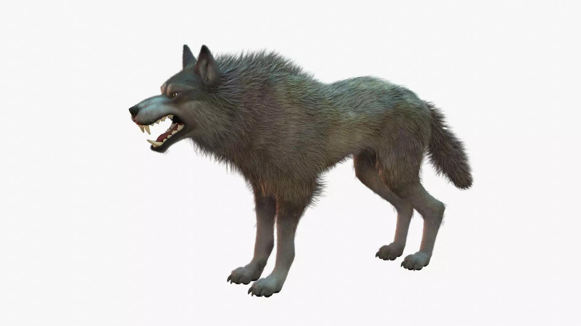 Wolf Rigged 3D model_0