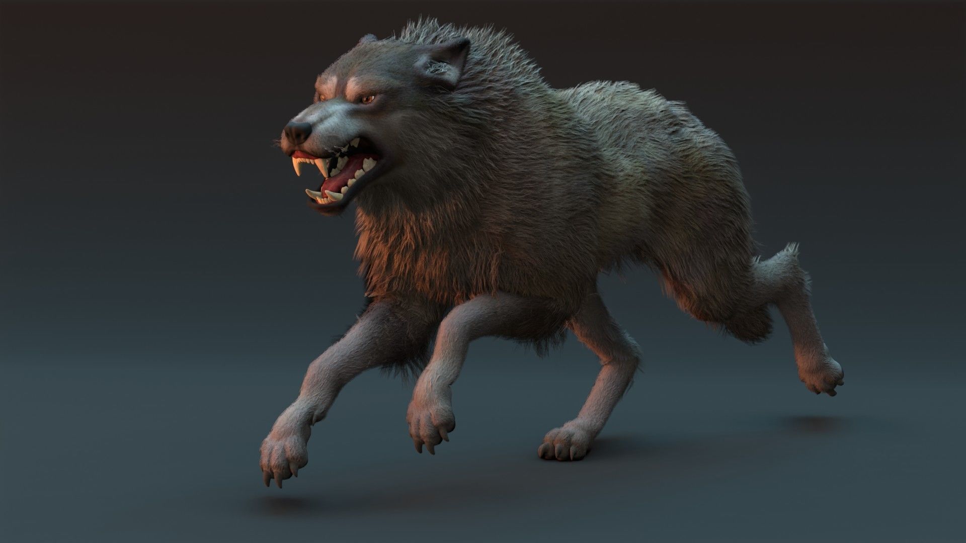 Wolf Rigged 3D model_3
