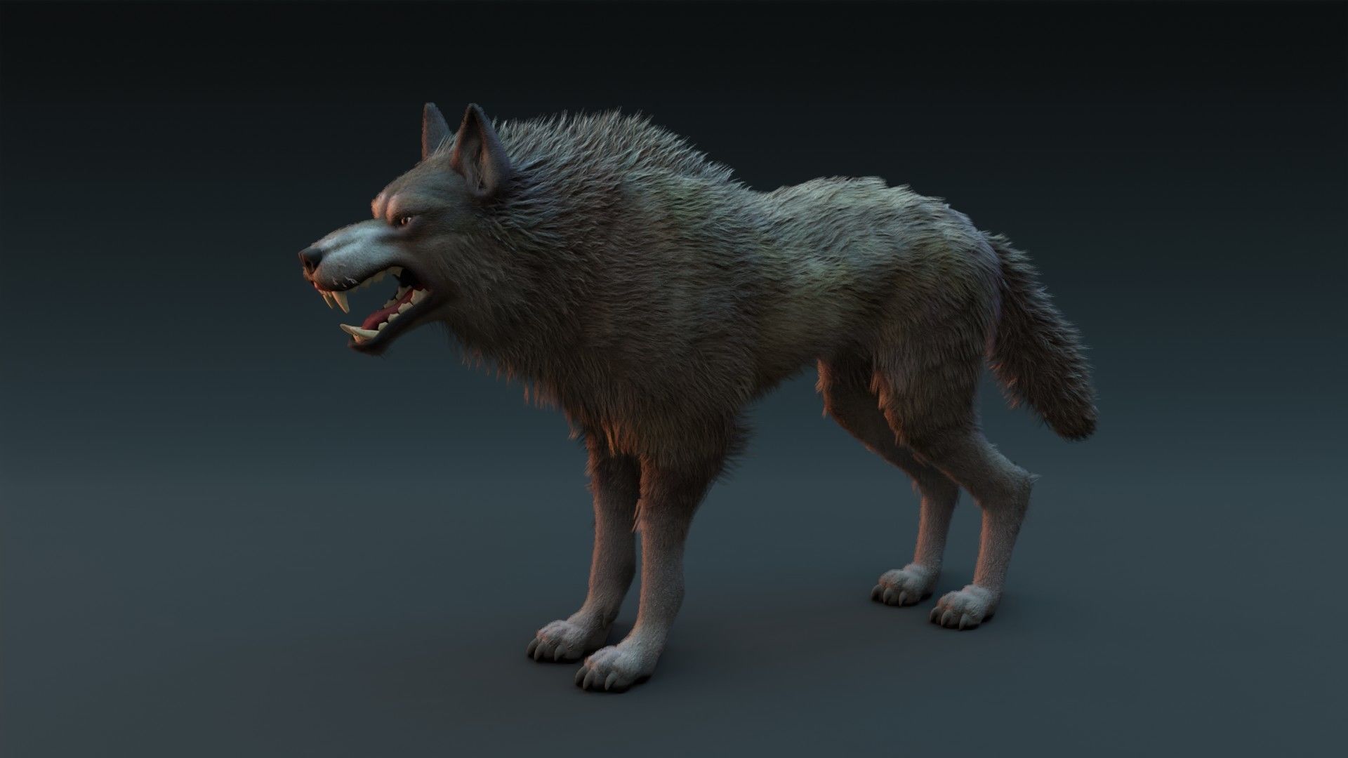 Wolf Rigged 3D model_1