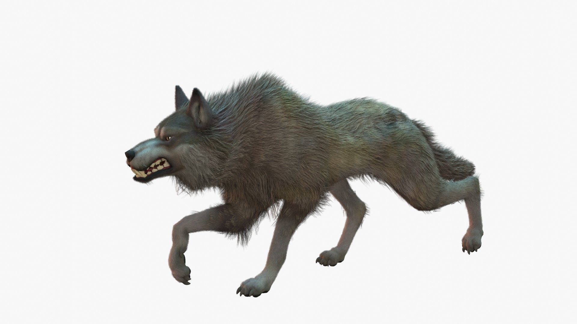 Wolf Rigged 3D model_25