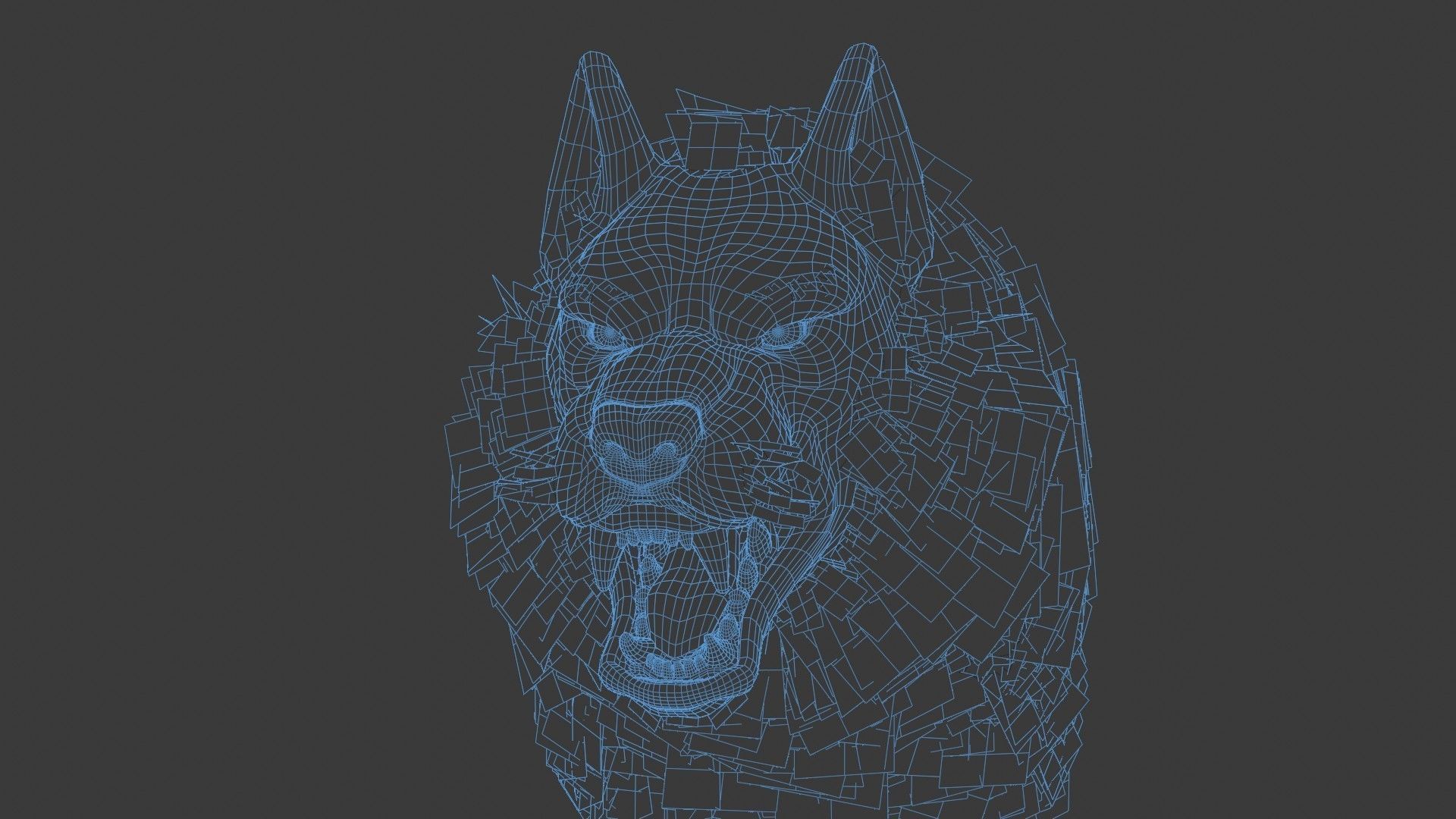 Wolf Rigged 3D model_20