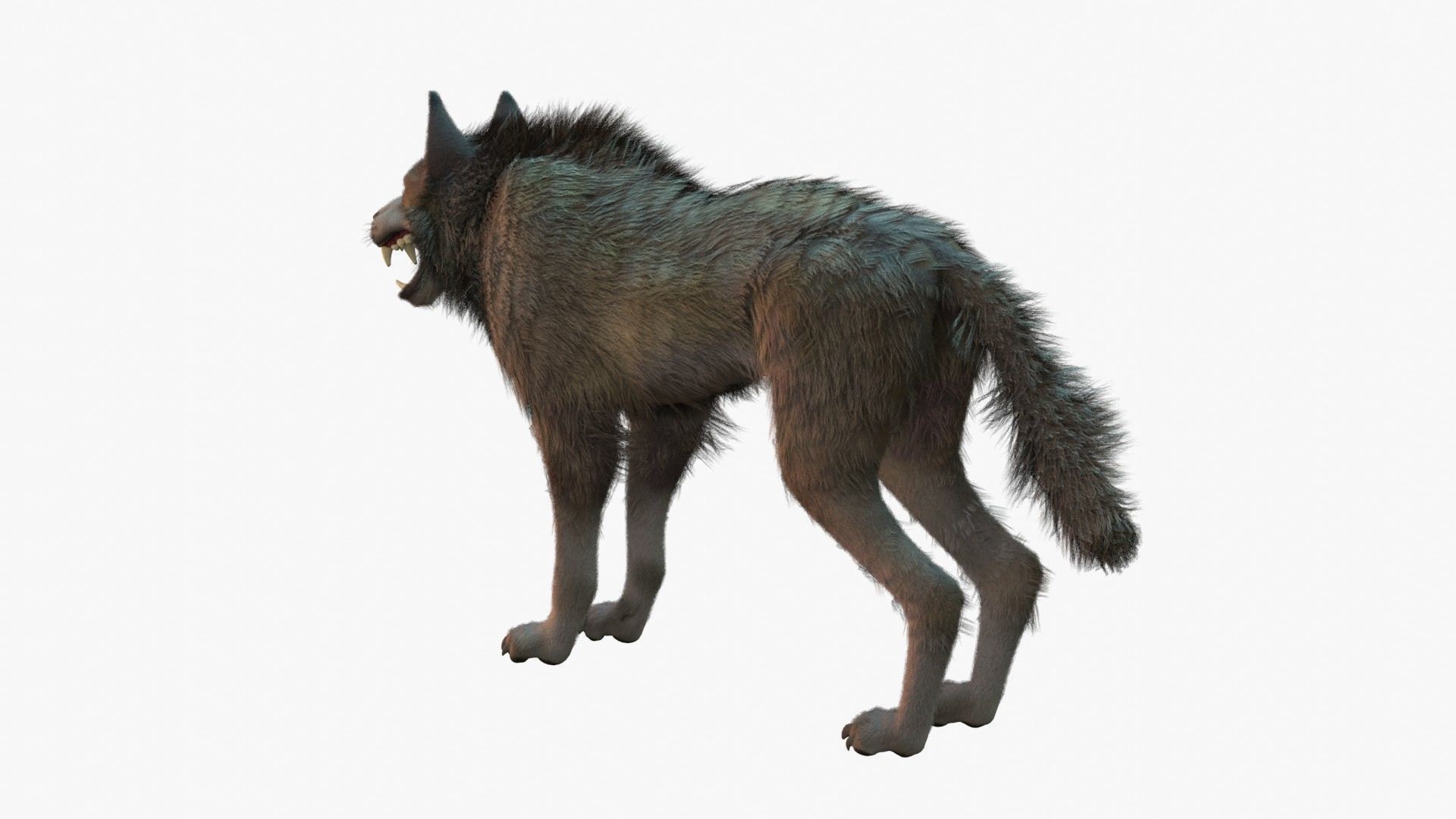 Wolf Rigged 3D model_17