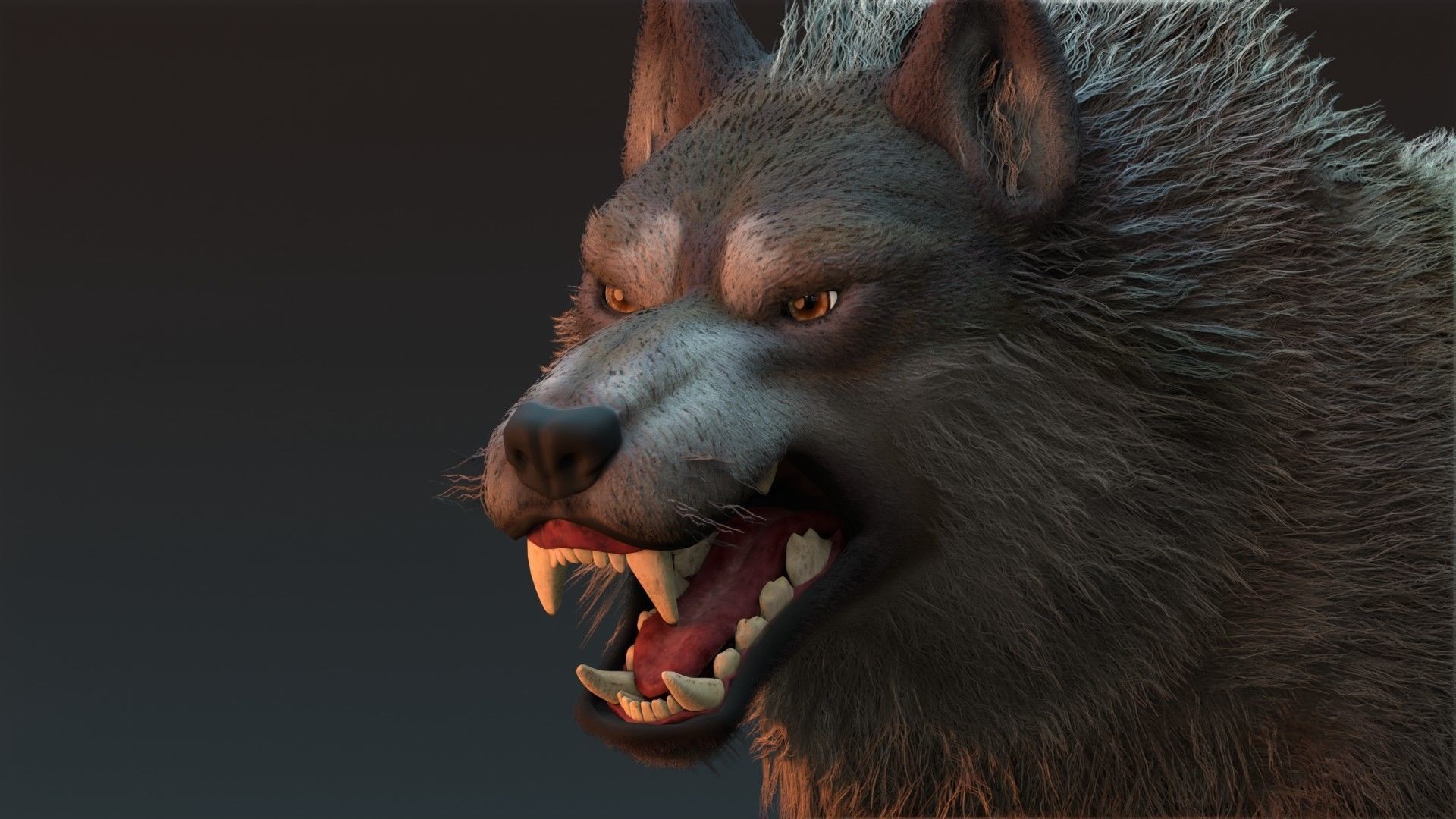 Wolf Rigged 3D model_4