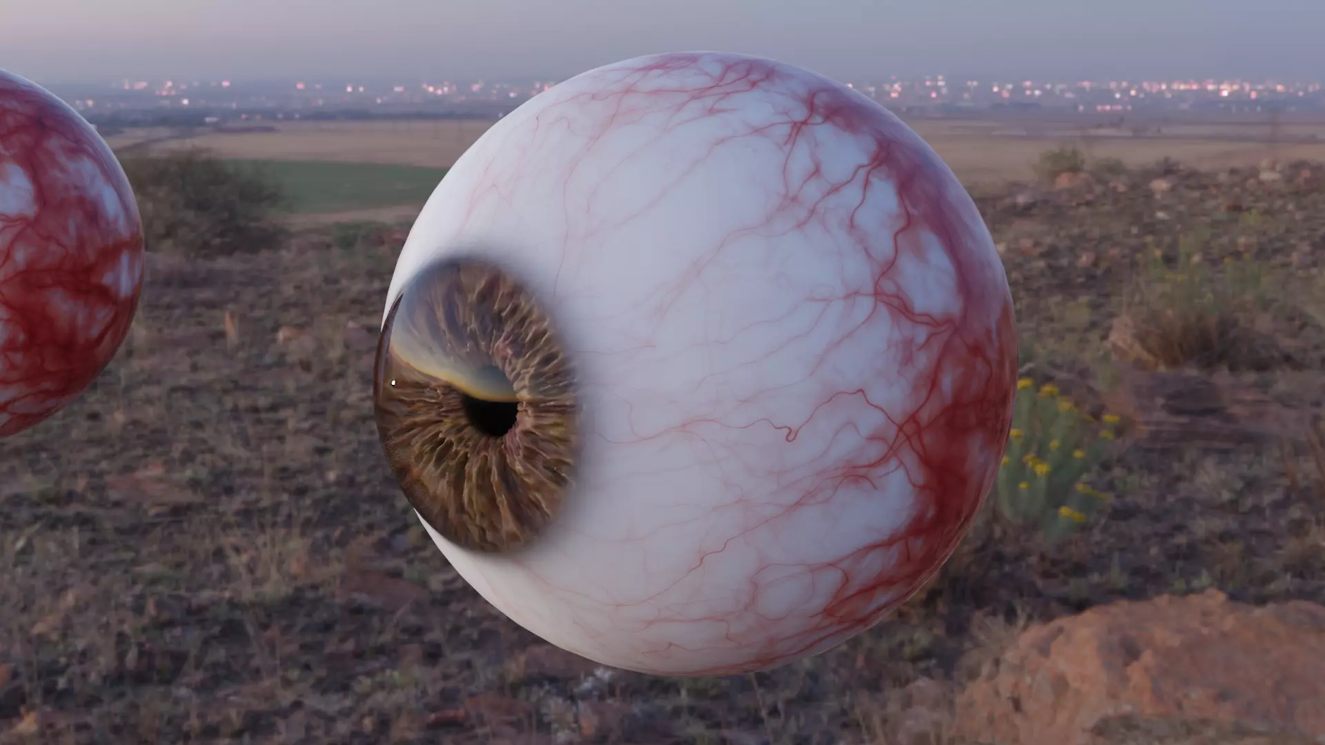 Eye 3D Modell 3D model_0