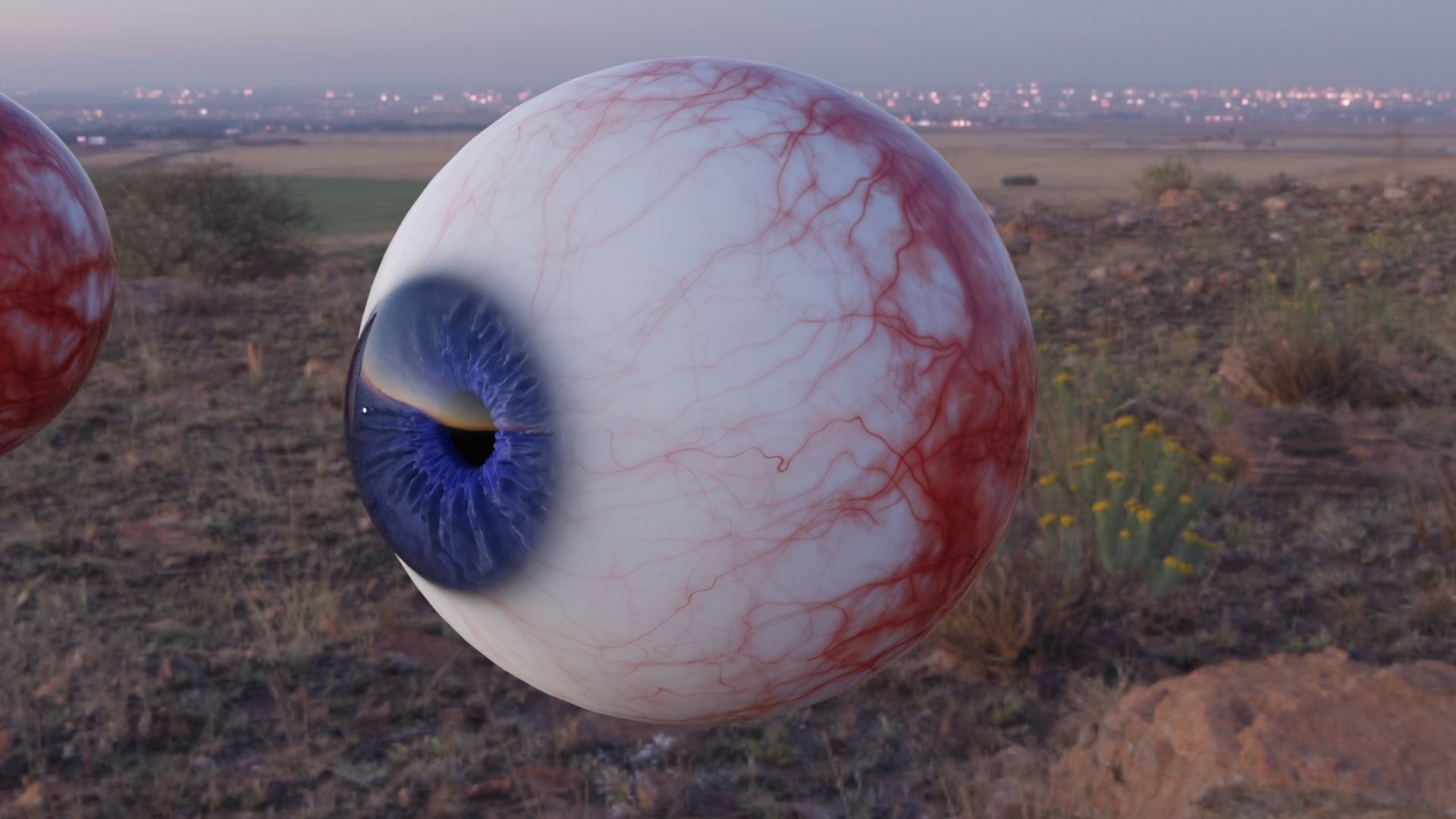 Eye 3D Modell 3D model_2