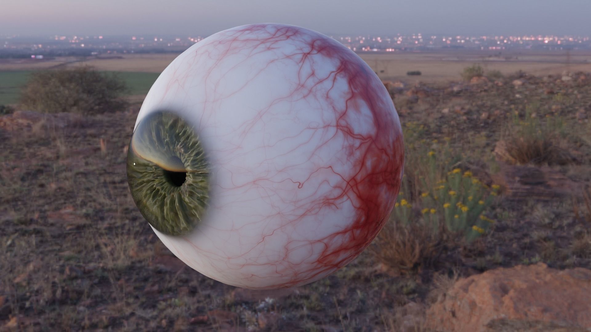 Eye 3D Modell 3D model_3