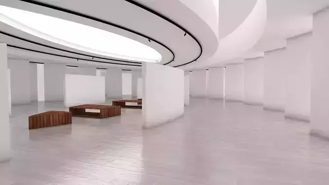 VR Gallery eye baked 3D