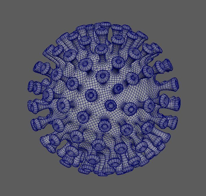 Corona Covid 19 model Low-poly 3D model_22