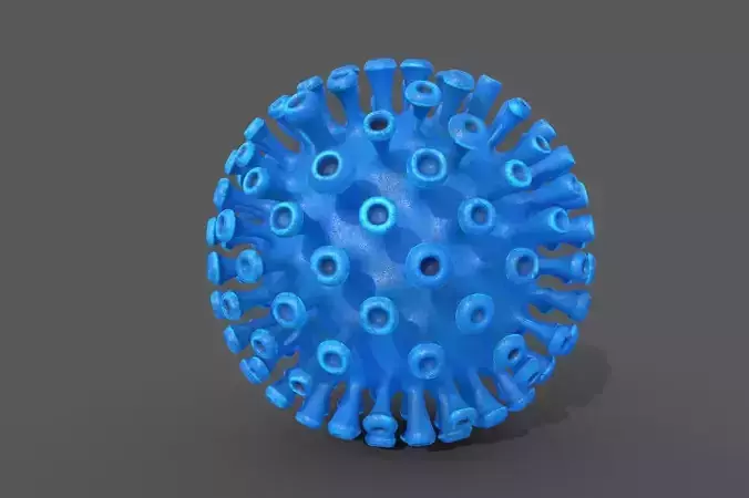 Corona Covid 19 model