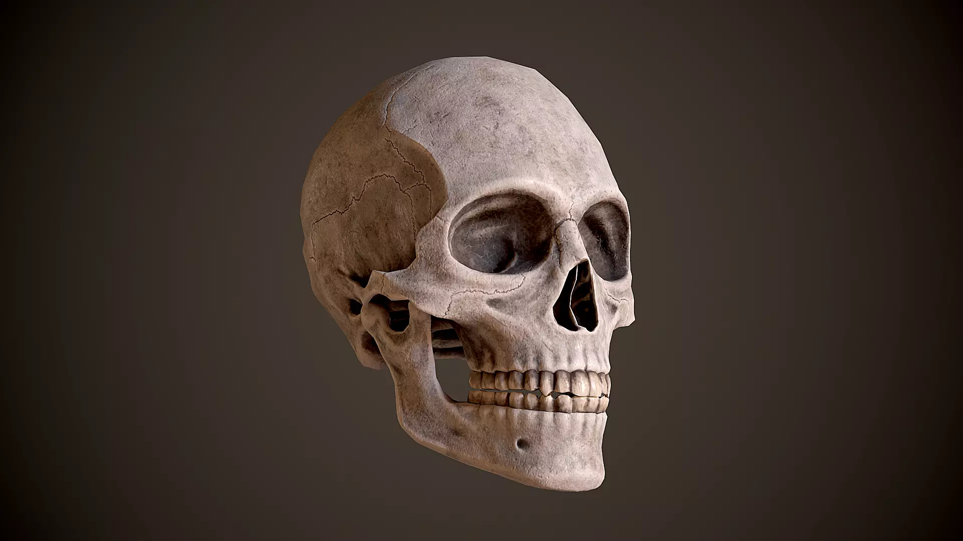 Human Male Skull Low Poly PBR Low-poly 3D model_0