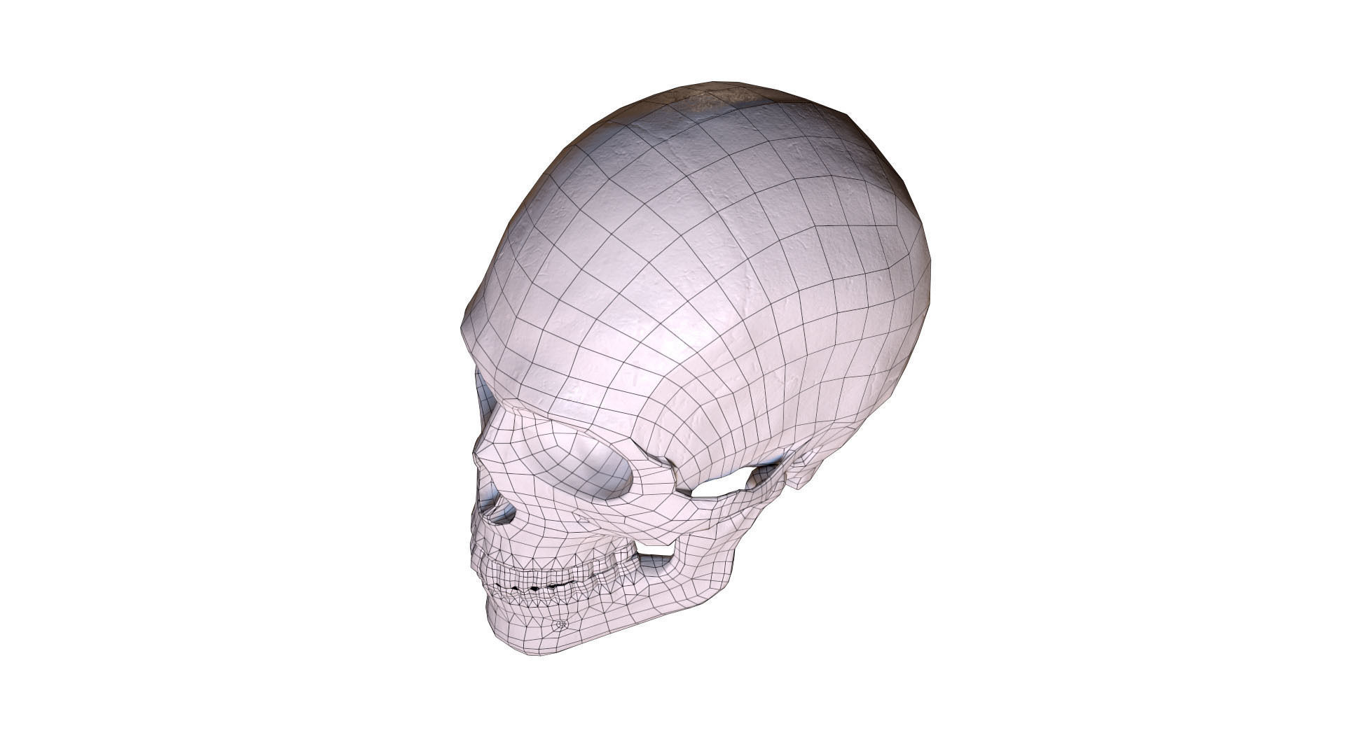 Human Male Skull Low Poly PBR Low-poly 3D model_2