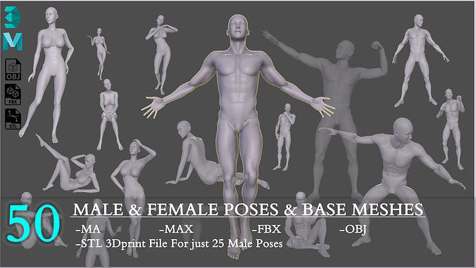 50 Male And Female Poses And Base meshes 3D model