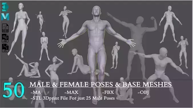 50 Male And Female Poses And Base meshes 3D model