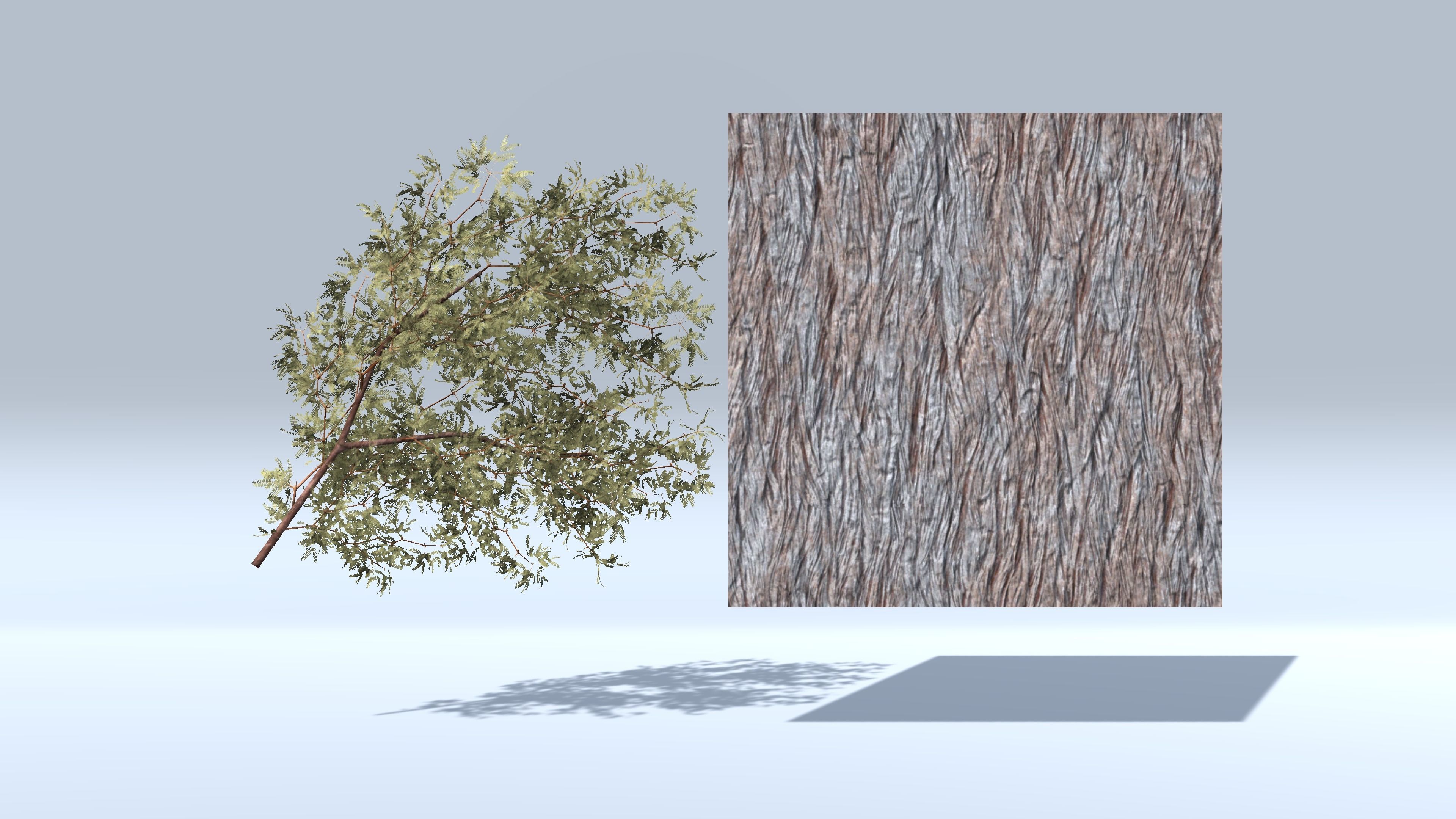 Prosopis Trees - Mobile Low-poly 3D model_4