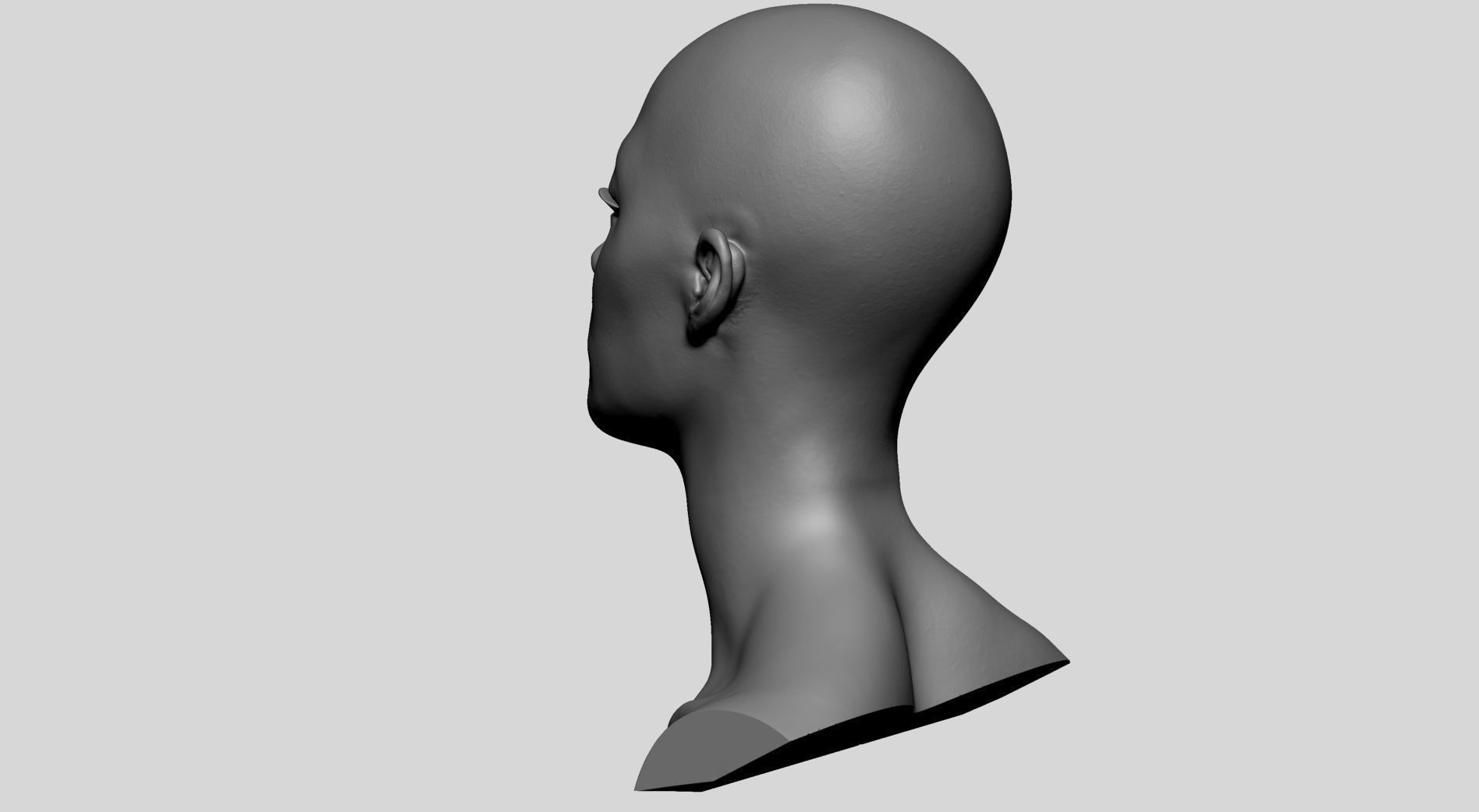 Female Head Printable v2 3D print model_5