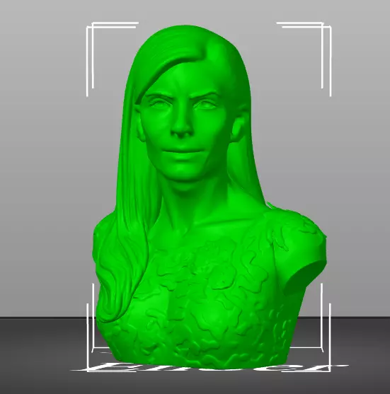 Sandra Bullock 3D print model_16
