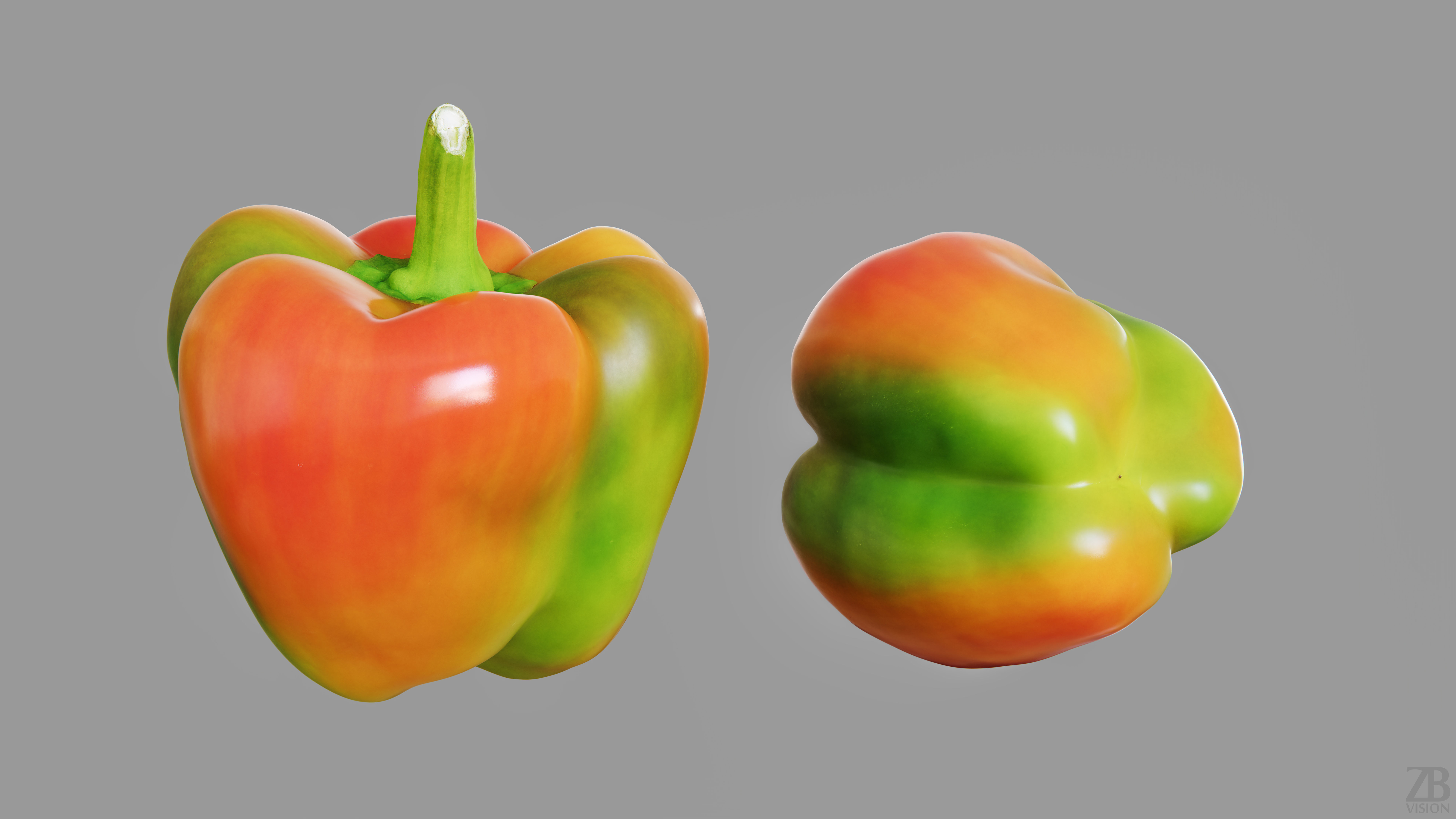 Paprika 3D model_12