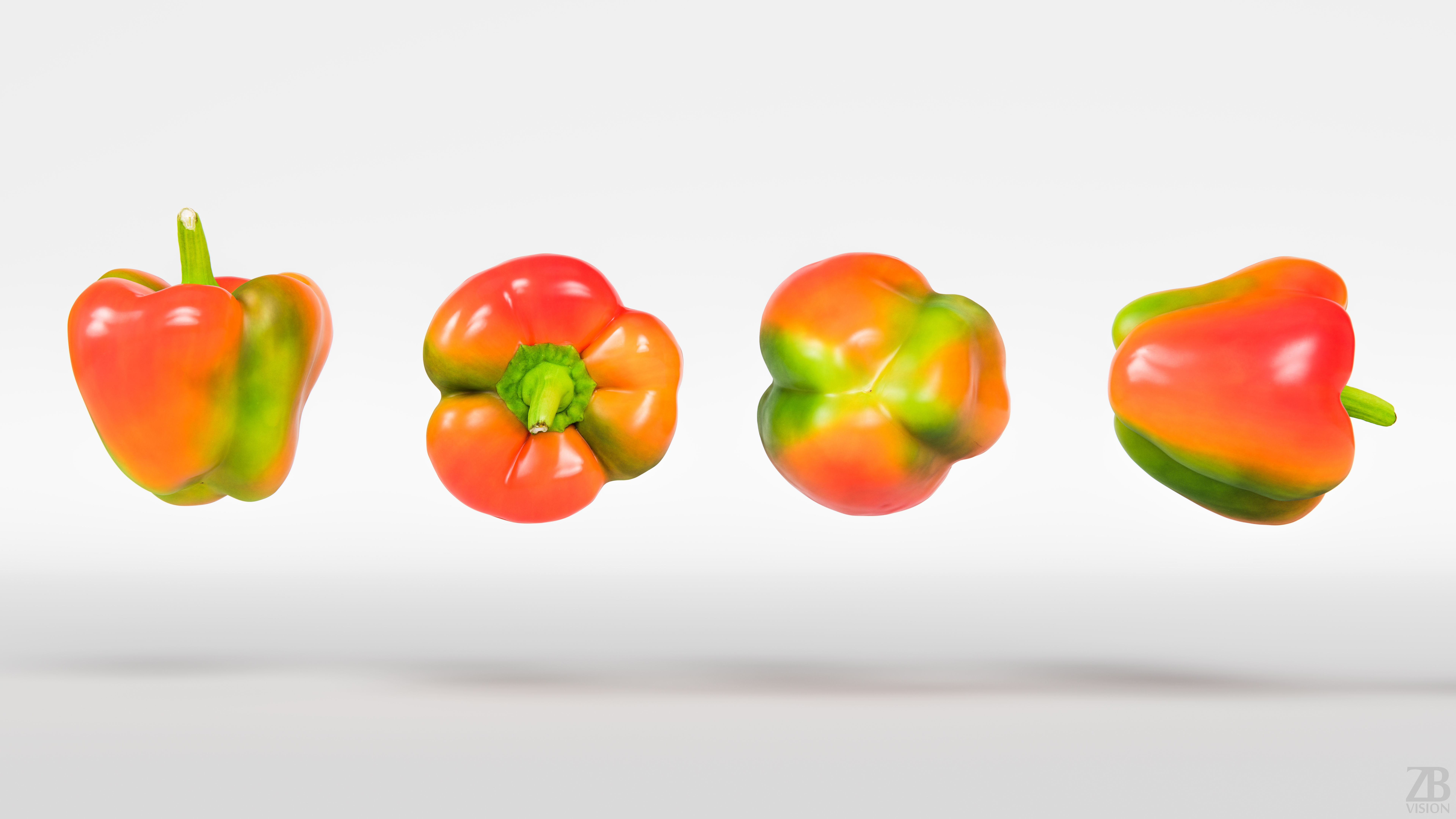 Paprika 3D model_4