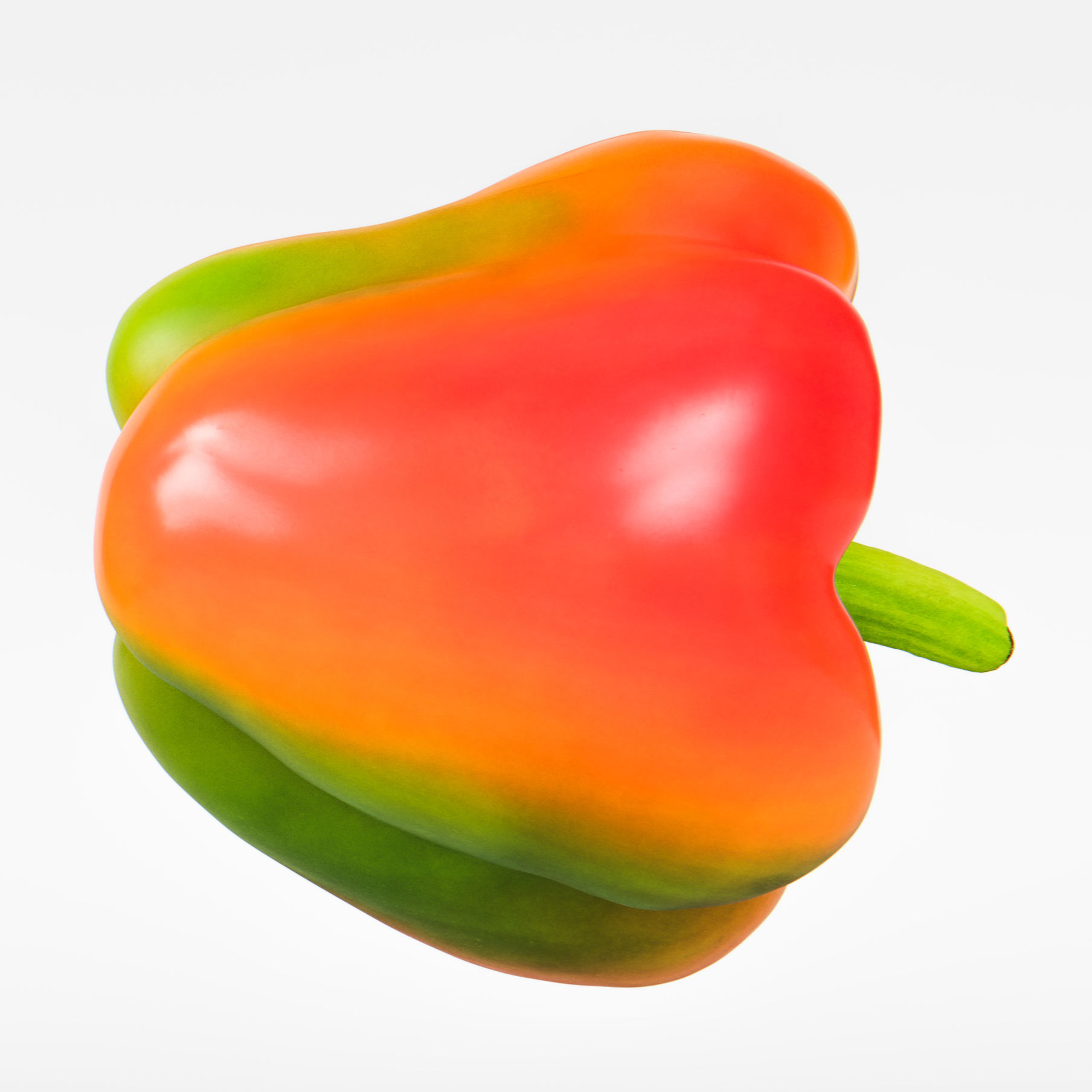 Paprika 3D model_8