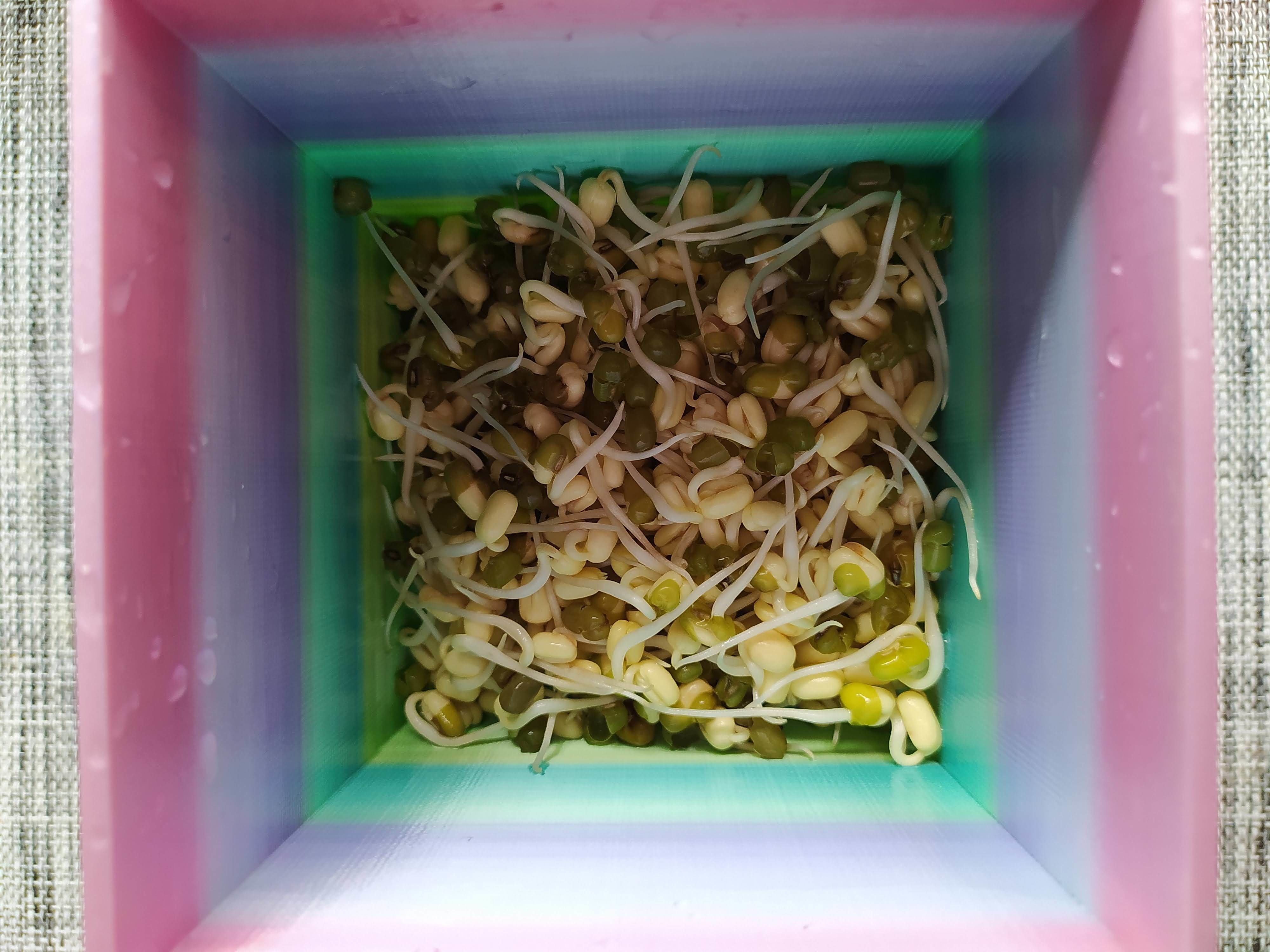 Seed sprouter box 3D print model_2