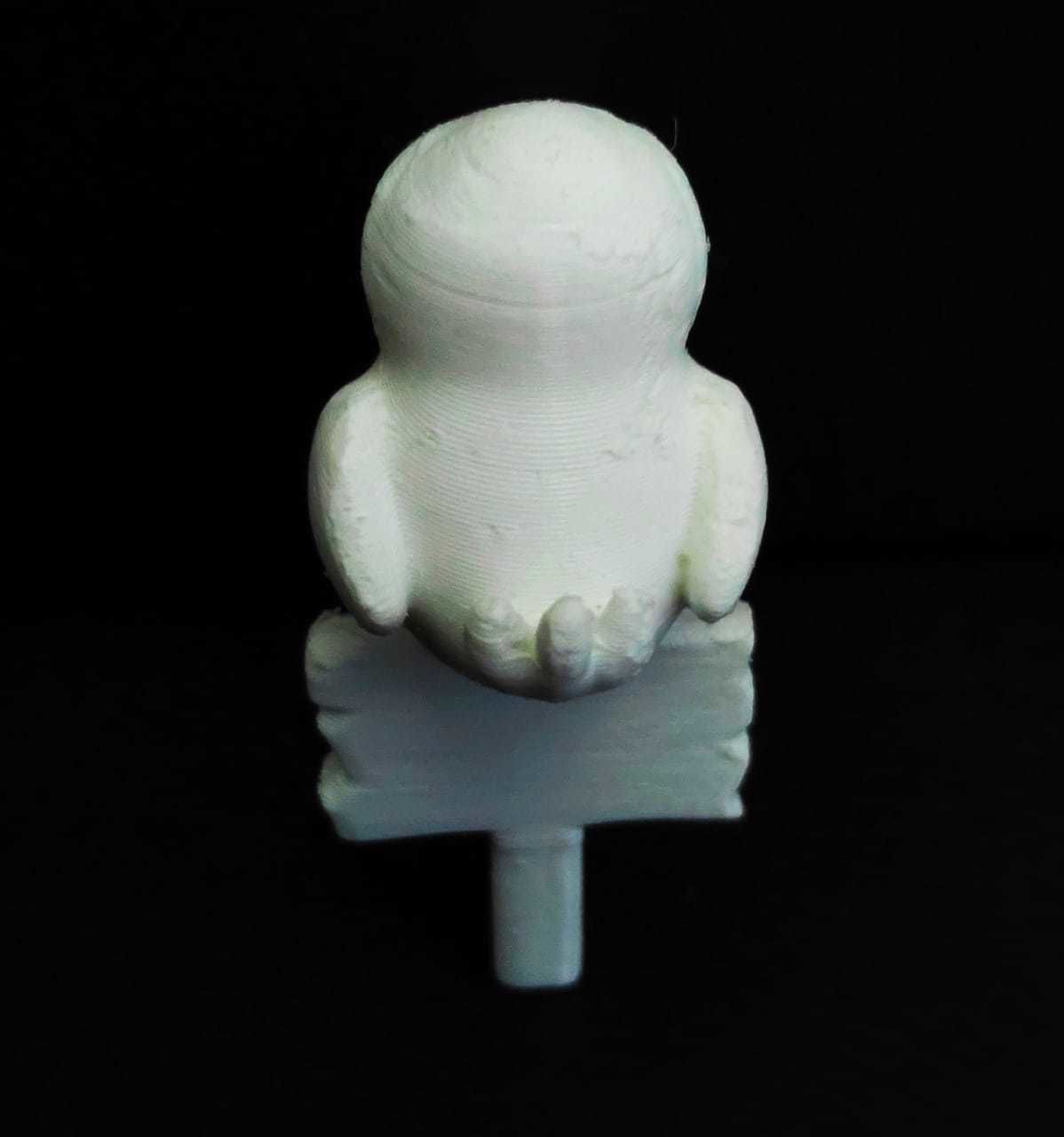 Toucan Wooden Sign 3D print model_6