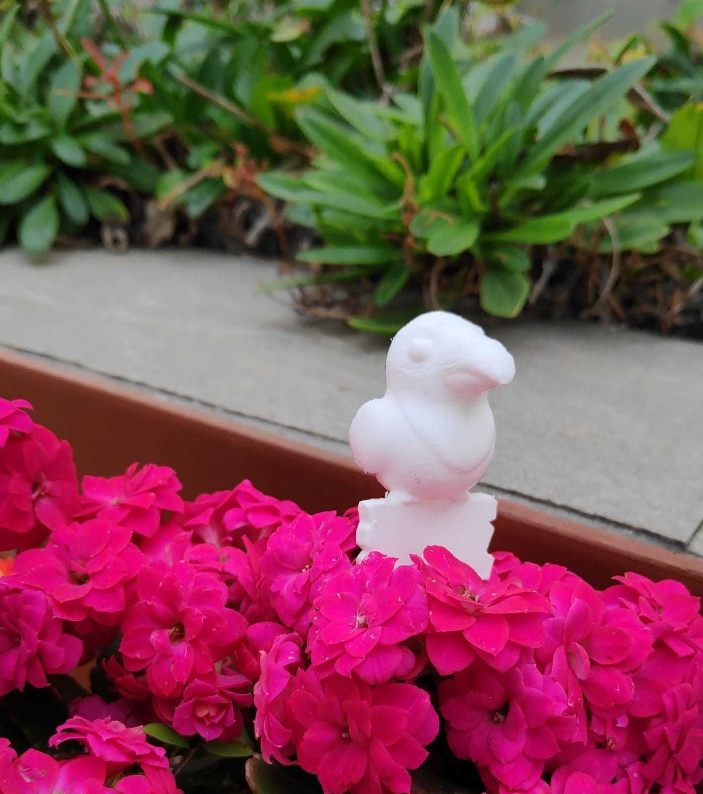 Toucan Wooden Sign 3D print model_10