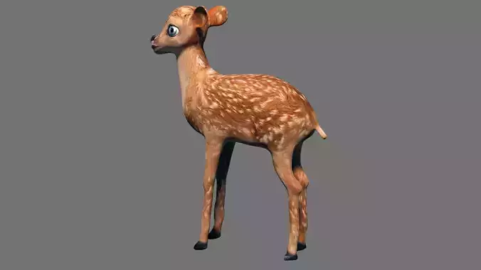 Gazelle fawn