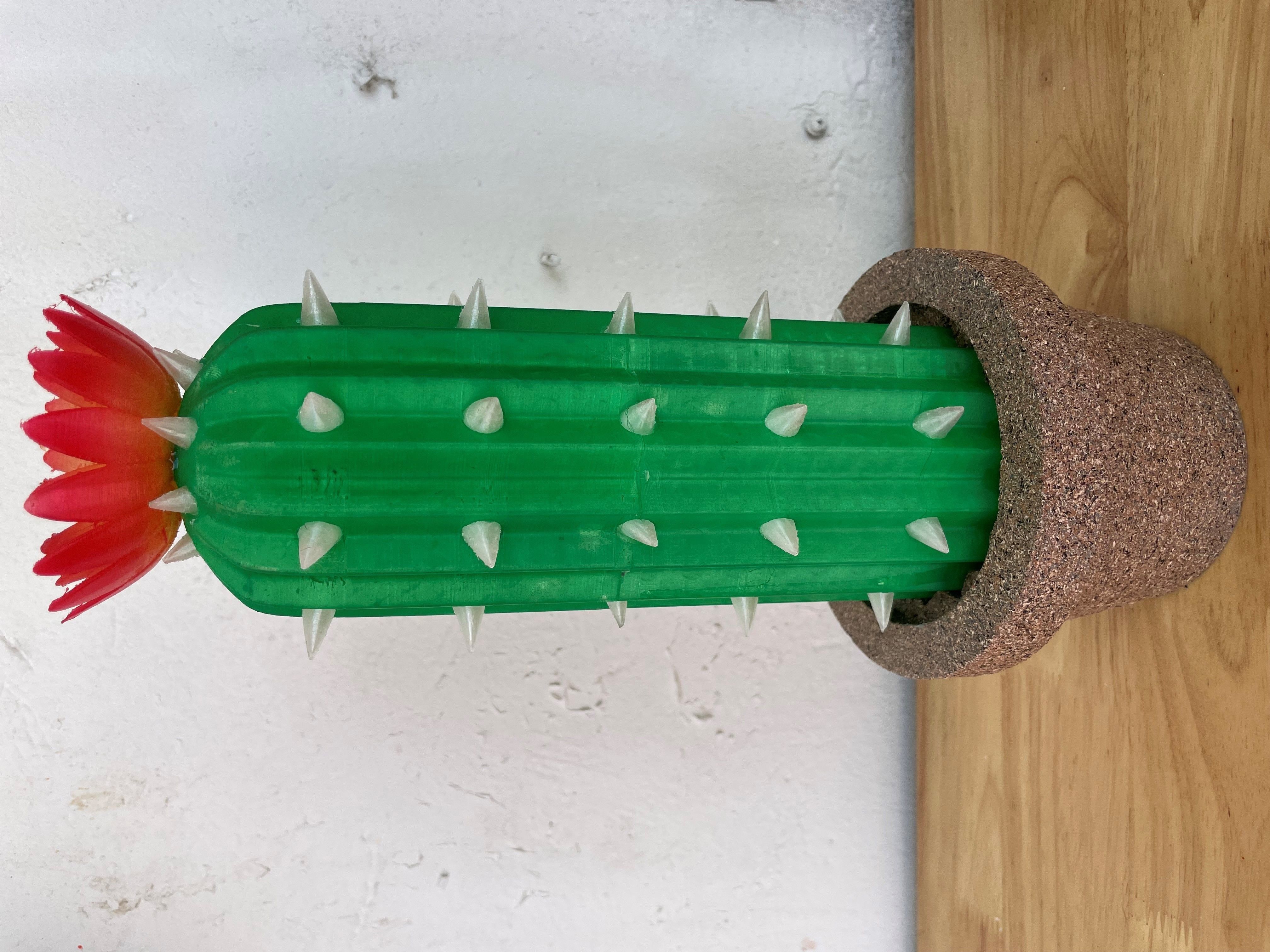 Cactus model for 3d printing 3D print model_3
