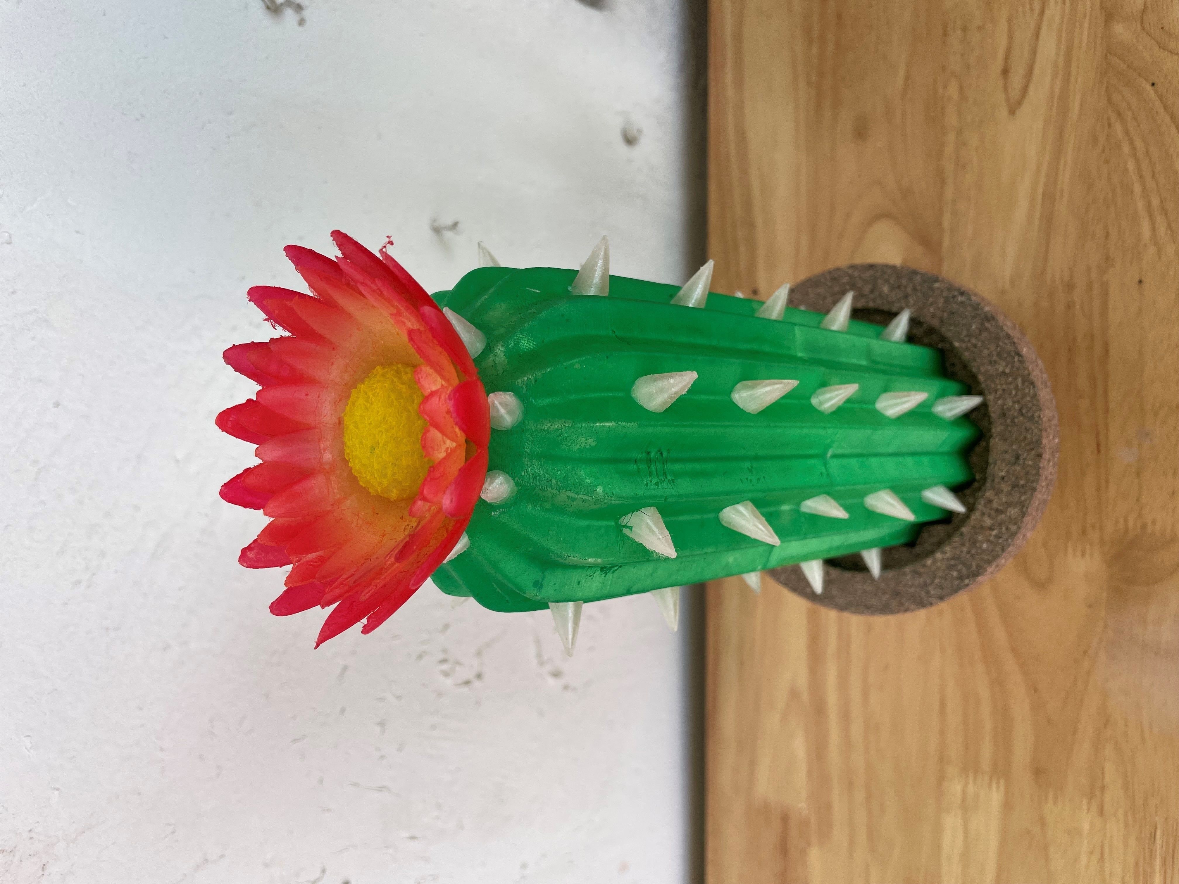 Cactus model for 3d printing 3D print model_4