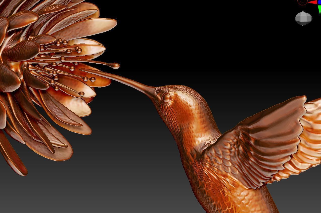 Hummingbird model with flower 3D print model_1