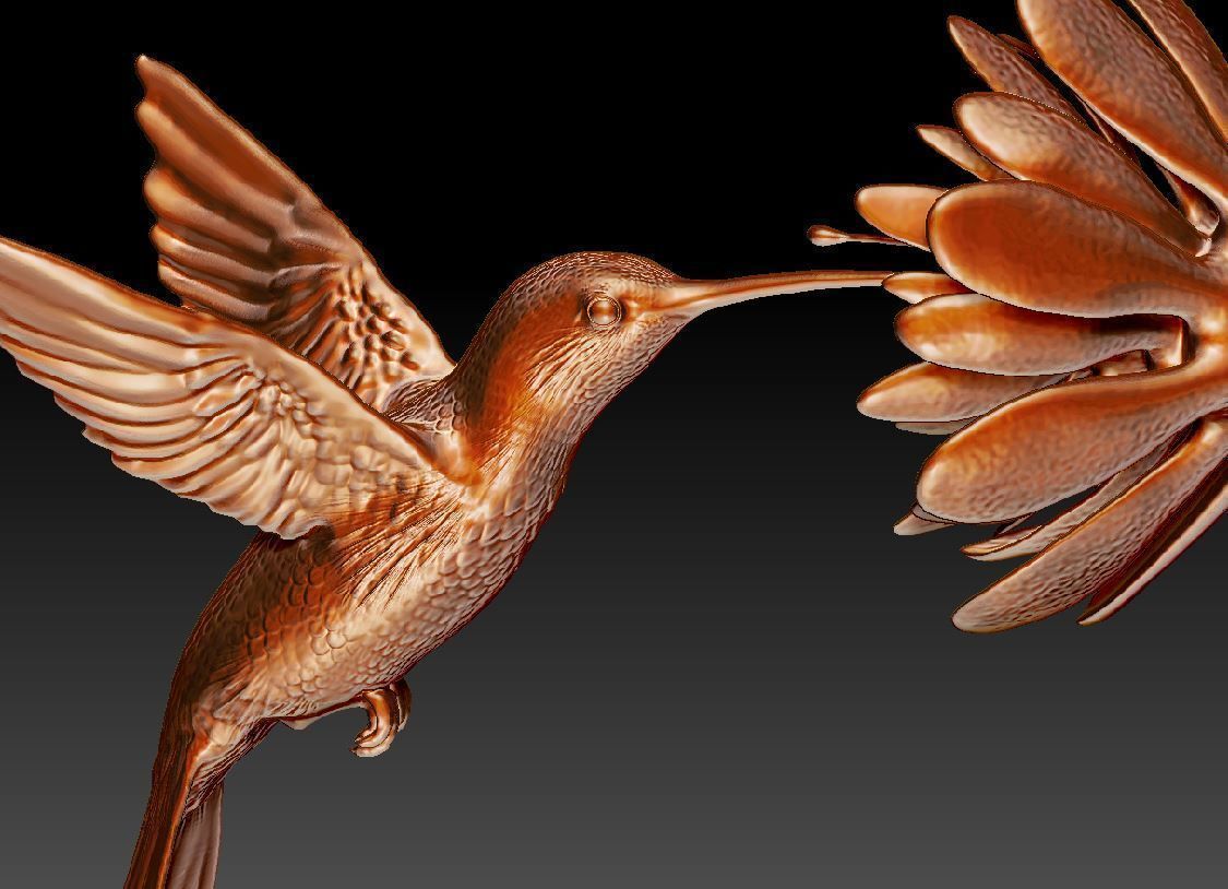 Hummingbird model with flower 3D model 3D printable | CGTrader