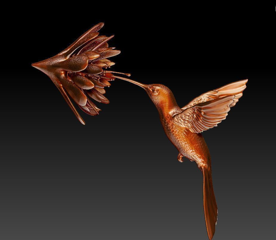 Hummingbird model with flower 3D print model_4