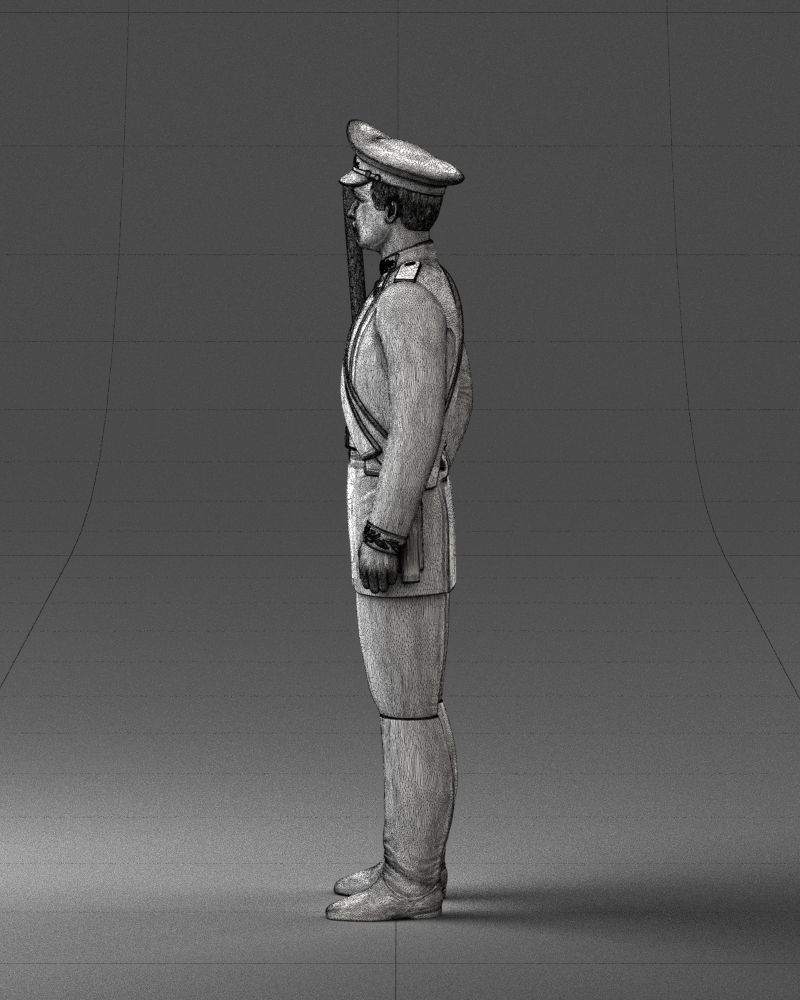 000115 Soviet Honor Guard Officer 0116 3dp 3D print model_17