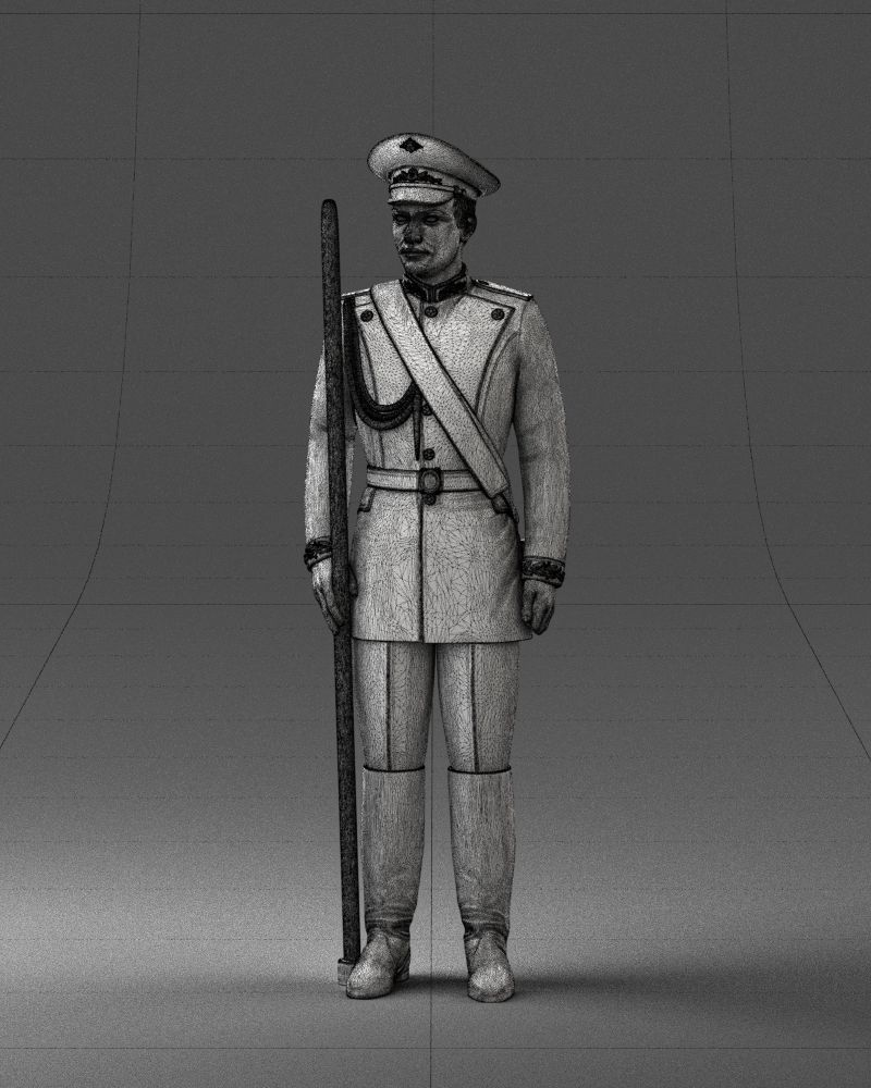 000115 Soviet Honor Guard Officer 0116 3dp 3D print model_23