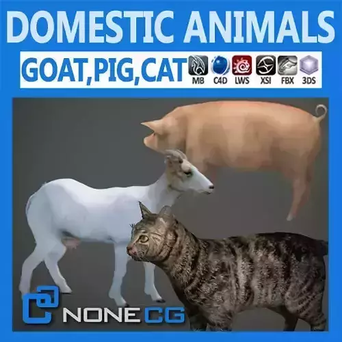 Pack - Domestic Animals