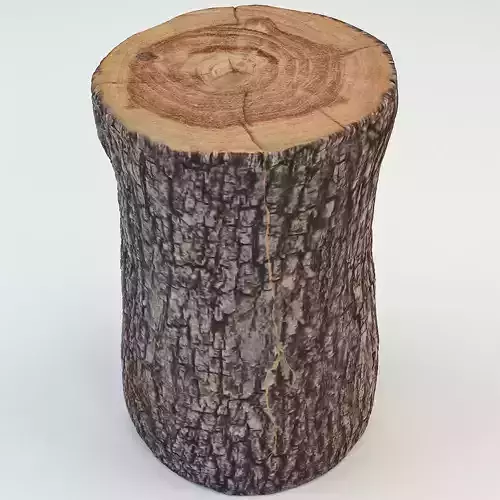 Tree trunk table 3D model