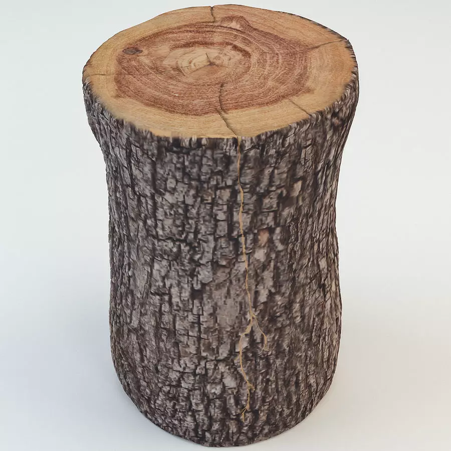Tree trunk table 3D model_0