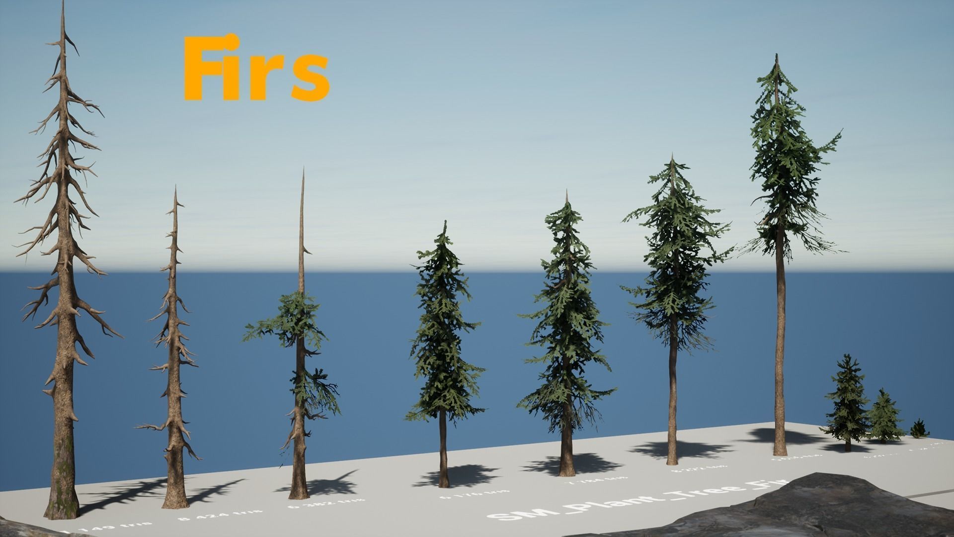 Forest Pack Low-poly 3D model_9