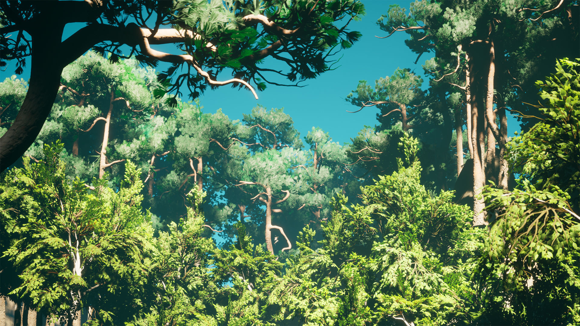 Forest Pack Low-poly 3D model_21