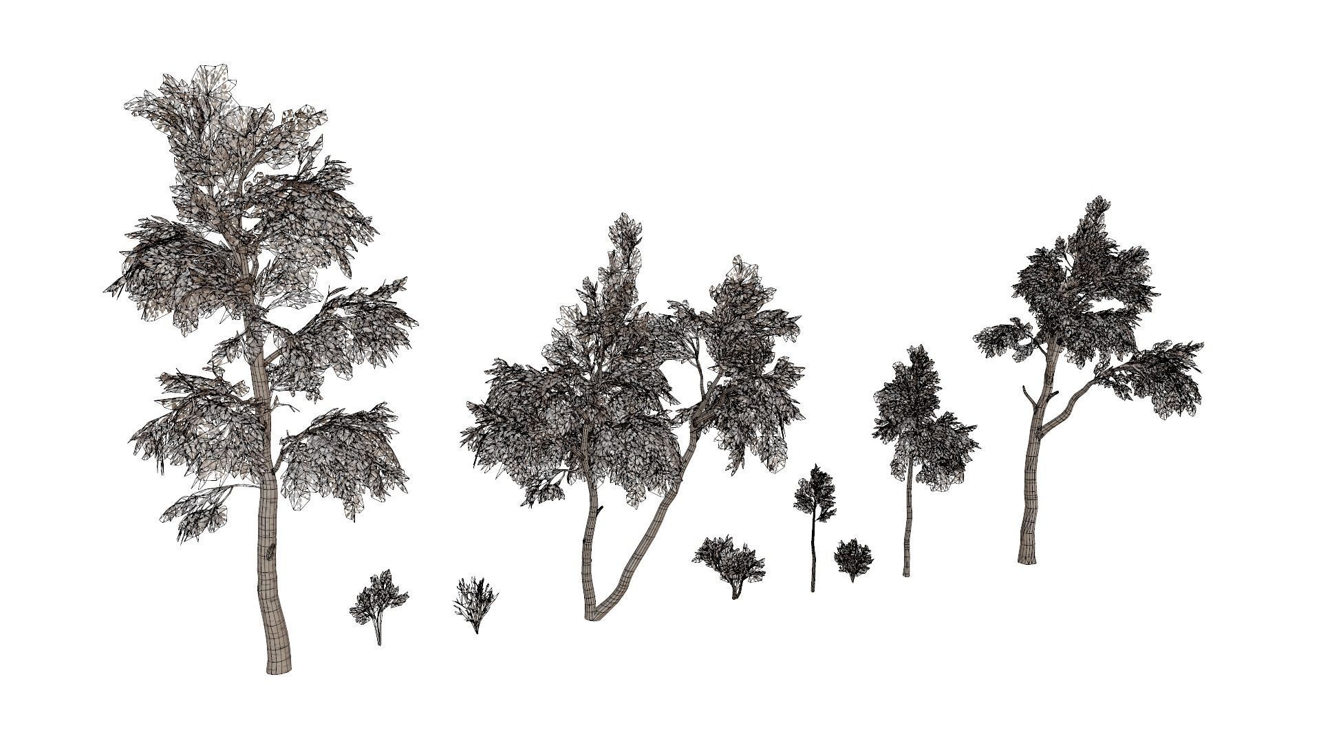 Forest Pack Low-poly 3D model_38