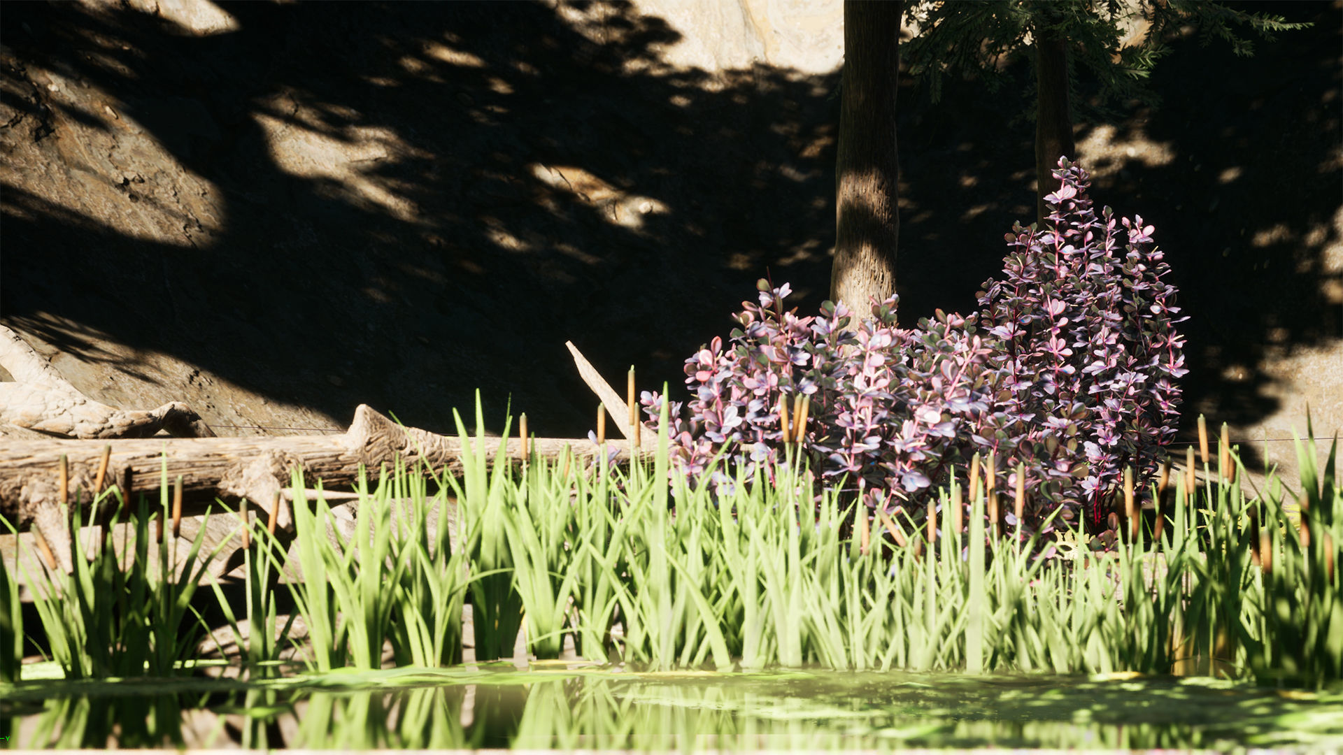 Forest Pack Low-poly 3D model_31