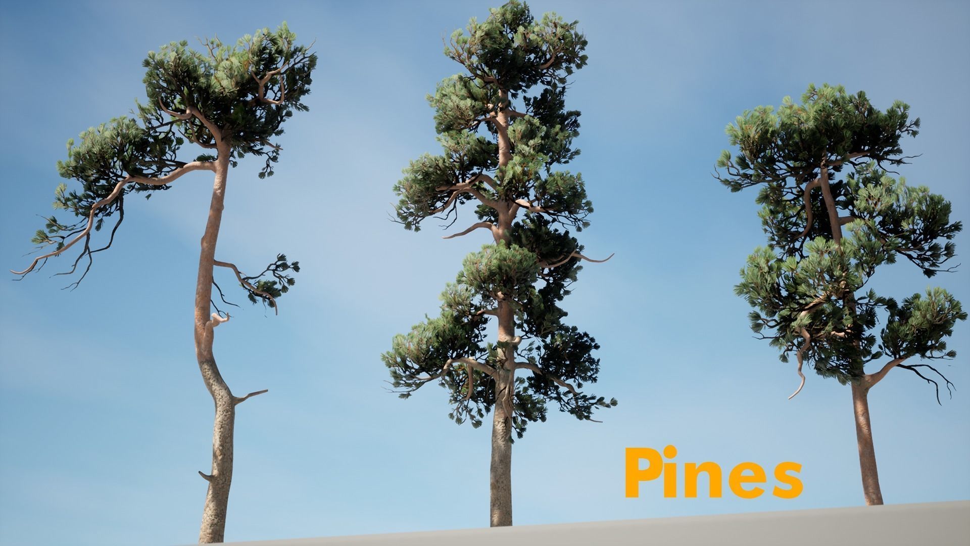 Forest Pack Low-poly 3D model_7