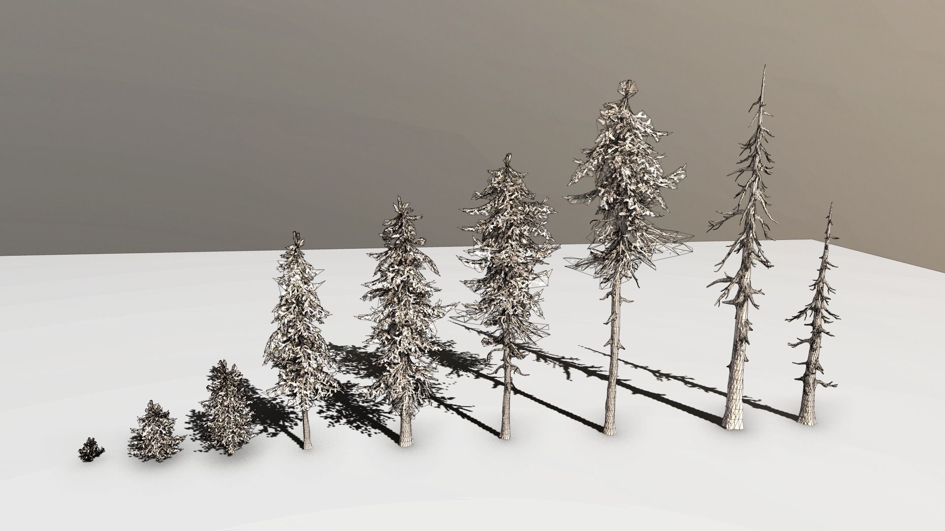 Forest Pack Low-poly 3D model_39