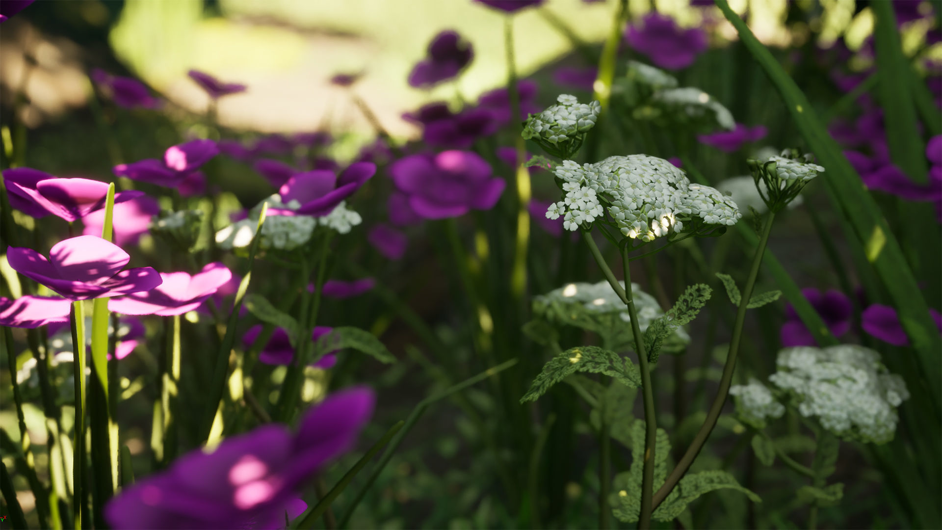 Forest Pack Low-poly 3D model_24