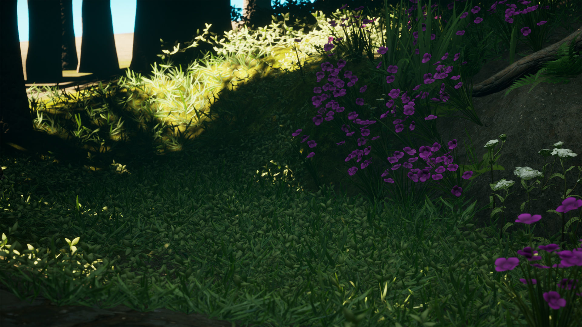 Forest Pack Low-poly 3D model_25